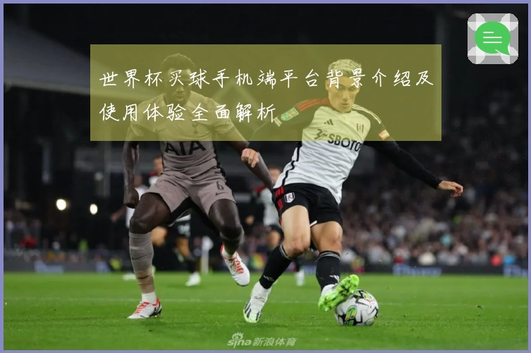 世界杯买球手机端平台背景介绍及使用体验全面解析