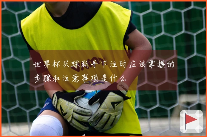 世界杯买球新手下注时应该掌握的步骤和注意事项是什么