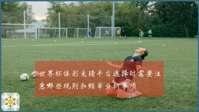 世界杯体彩竞猜平台选择时需要注意哪些规则和赔率分析事项