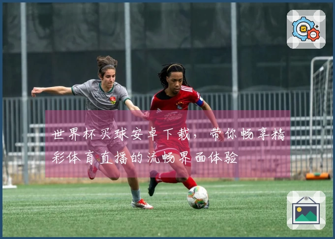 世界杯买球安卓下载，带你畅享精彩体育直播的流畅界面体验