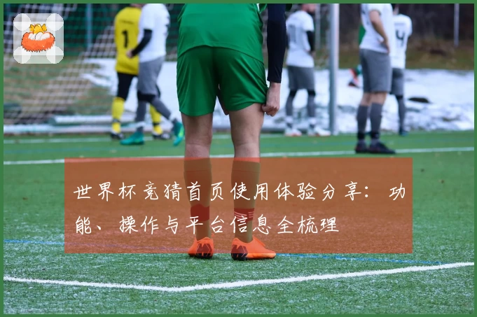 世界杯竞猜首页使用体验分享：功能、操作与平台信息全梳理