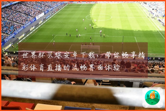 世界杯买球安卓下载，带你畅享精彩体育直播的流畅界面体验