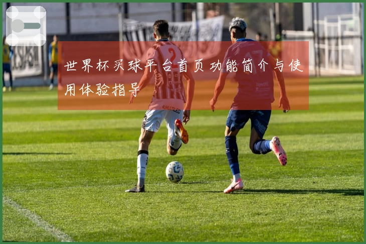 世界杯买球平台首页功能简介与使用体验指导