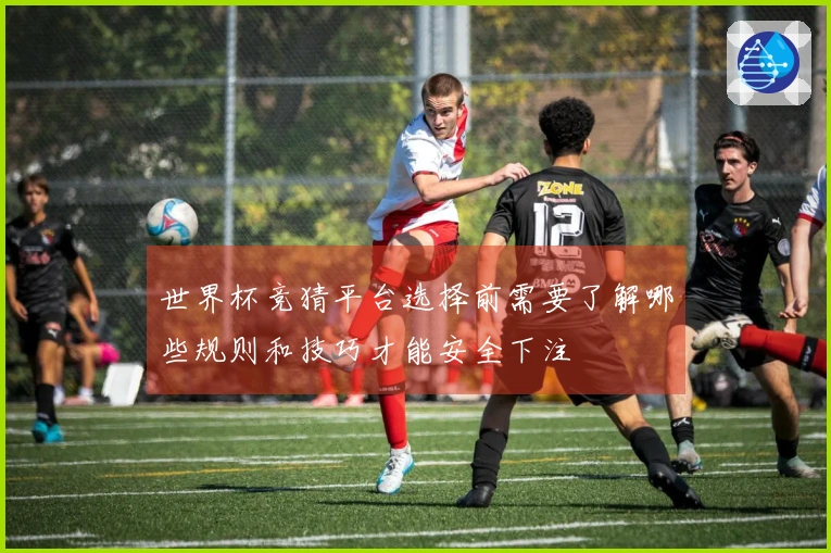 世界杯竞猜平台选择前需要了解哪些规则和技巧才能安全下注