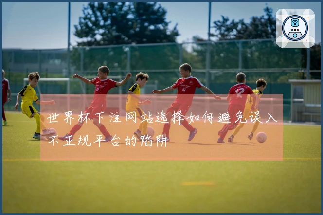 世界杯下注网站选择如何避免误入不正规平台的陷阱