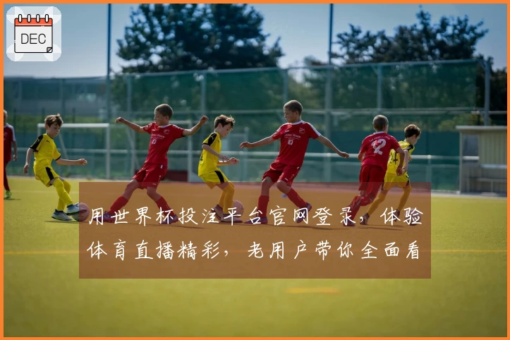 用世界杯投注平台官网登录，体验体育直播精彩，老用户带你全面看懂