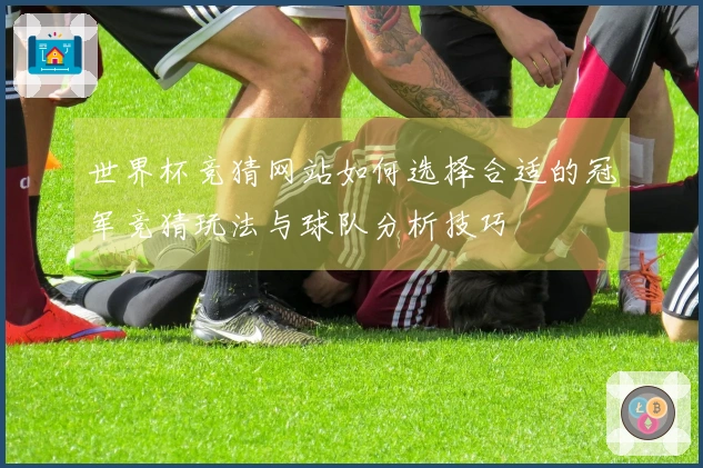 世界杯竞猜网站如何选择合适的冠军竞猜玩法与球队分析技巧