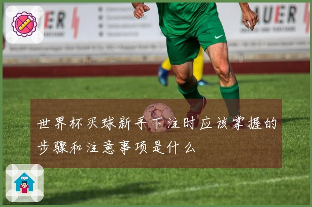 世界杯买球新手下注时应该掌握的步骤和注意事项是什么
