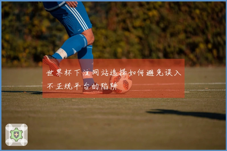 世界杯下注网站选择如何避免误入不正规平台的陷阱