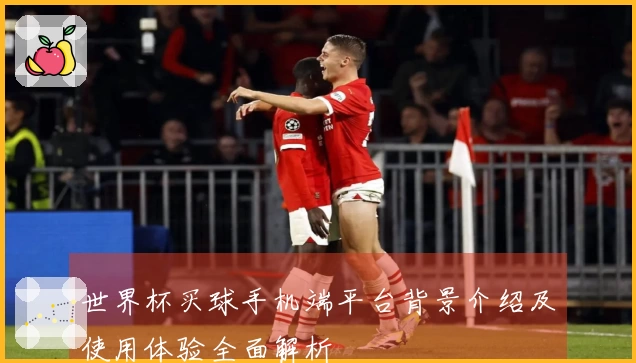 世界杯买球手机端平台背景介绍及使用体验全面解析