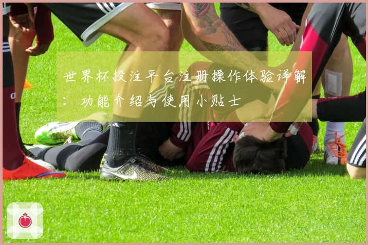 世界杯投注平台注册操作体验详解：功能介绍与使用小贴士