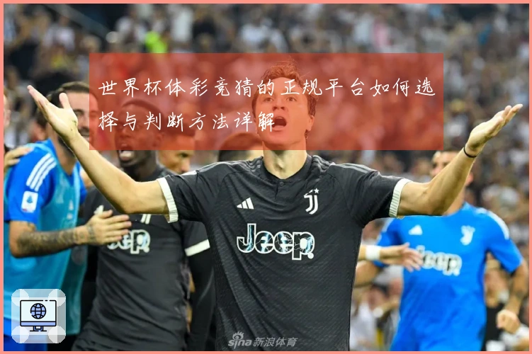 世界杯体彩竞猜的正规平台如何选择与判断方法详解