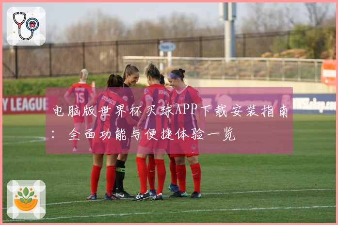 电脑版世界杯买球APP下载安装指南：全面功能与便捷体验一览